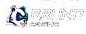 Bruno Casino Logo